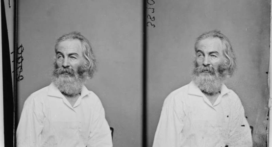 Pop en Literatuur (49): Titus Andronicus en Walt Whitman