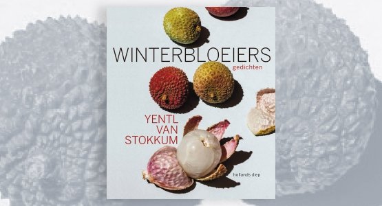 Op 15 augustus verschijnt bij Hollands Diep 'Winterbloeiers' van Yentl van Stokkum