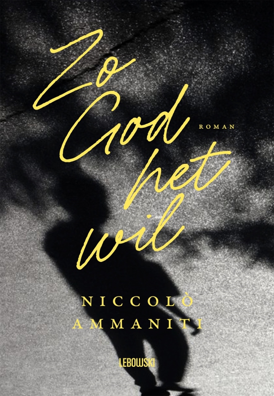 Niccolò Ammaniti - Zo God het wil